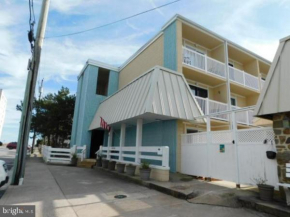 Ocean view Oasis